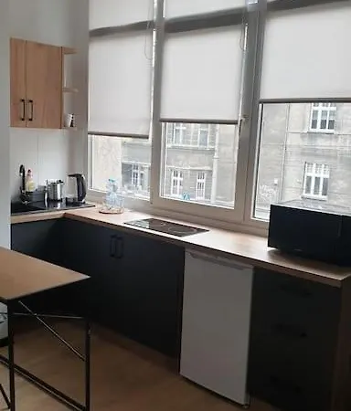 Centrum Katowic 3 아파트 *