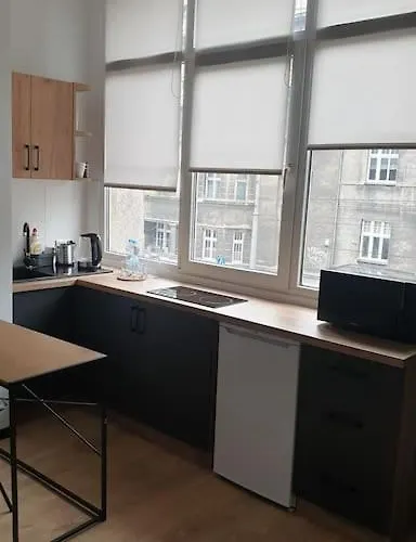 Centrum Katowic 3 아파트 *